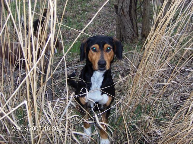 delta rosu 2007 - im000696.JPG